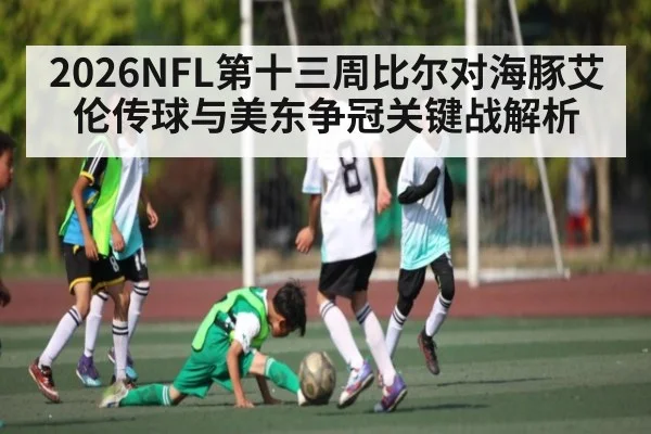 2026NFL第十三周比尔对海豚艾伦传球与美东争冠关键战解析